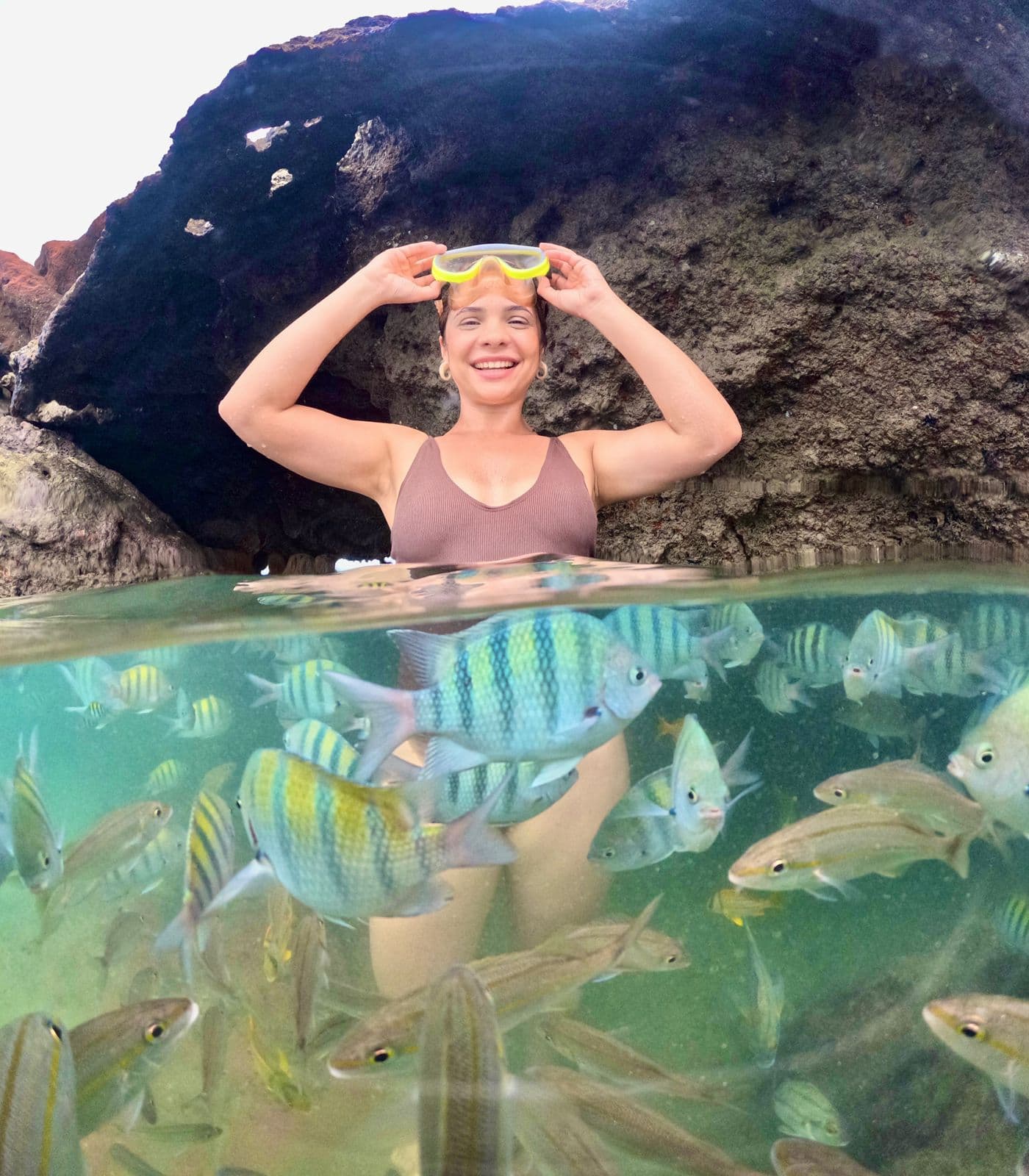 Mergulhe com peixes e águas cristalinas