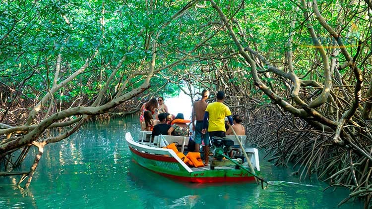 Passeio de Barco em Icaraizinho e Moitas