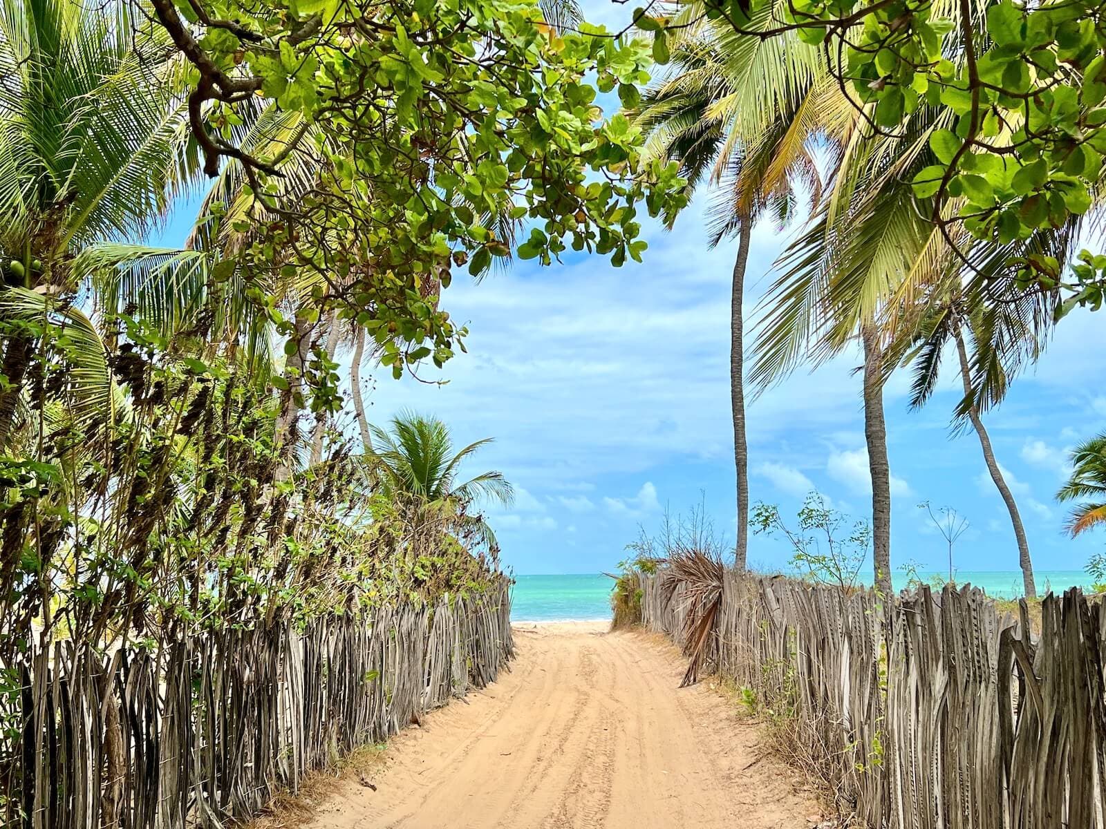 Paisagens no Passeio Moitas